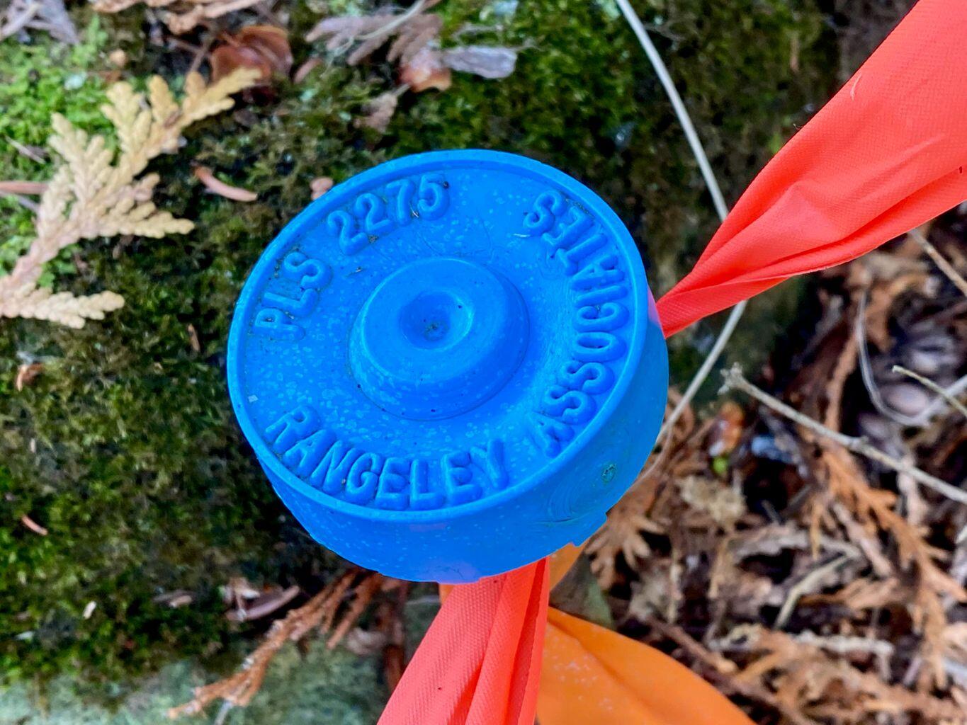 Tbd Mingo Loop Road Rangeley ME 04970