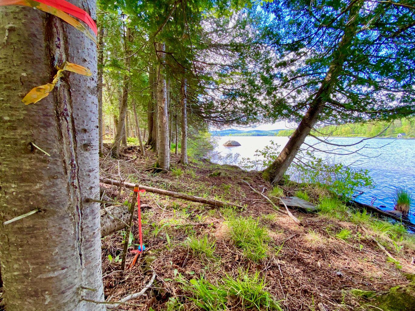 Tbd Mingo Loop Road Rangeley ME 04970