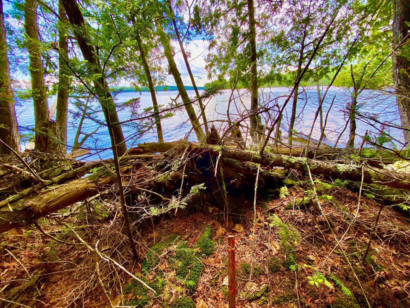 Tbd Mingo Loop Road Rangeley ME 04970