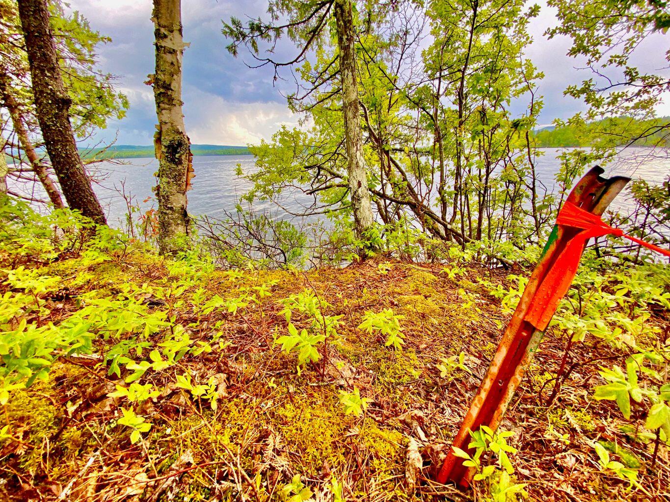 Tbd Mingo Loop Road Rangeley ME 04970