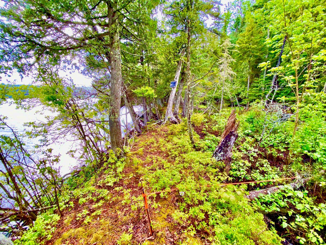 Tbd Mingo Loop Road Rangeley ME 04970