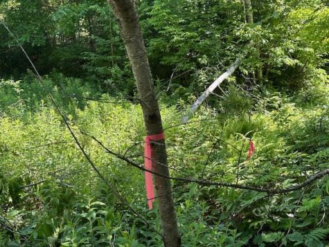 Lot #3 Bonnie Way Winterport ME 04496