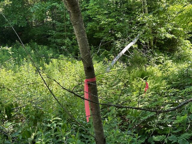 Lot #3 Bonnie Way Winterport ME 04496