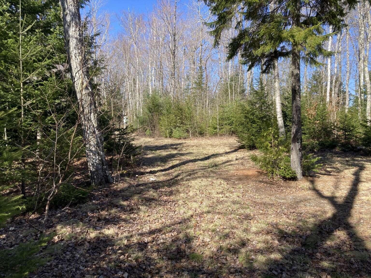 242 Tannery Brook Road Mariaville ME 04605