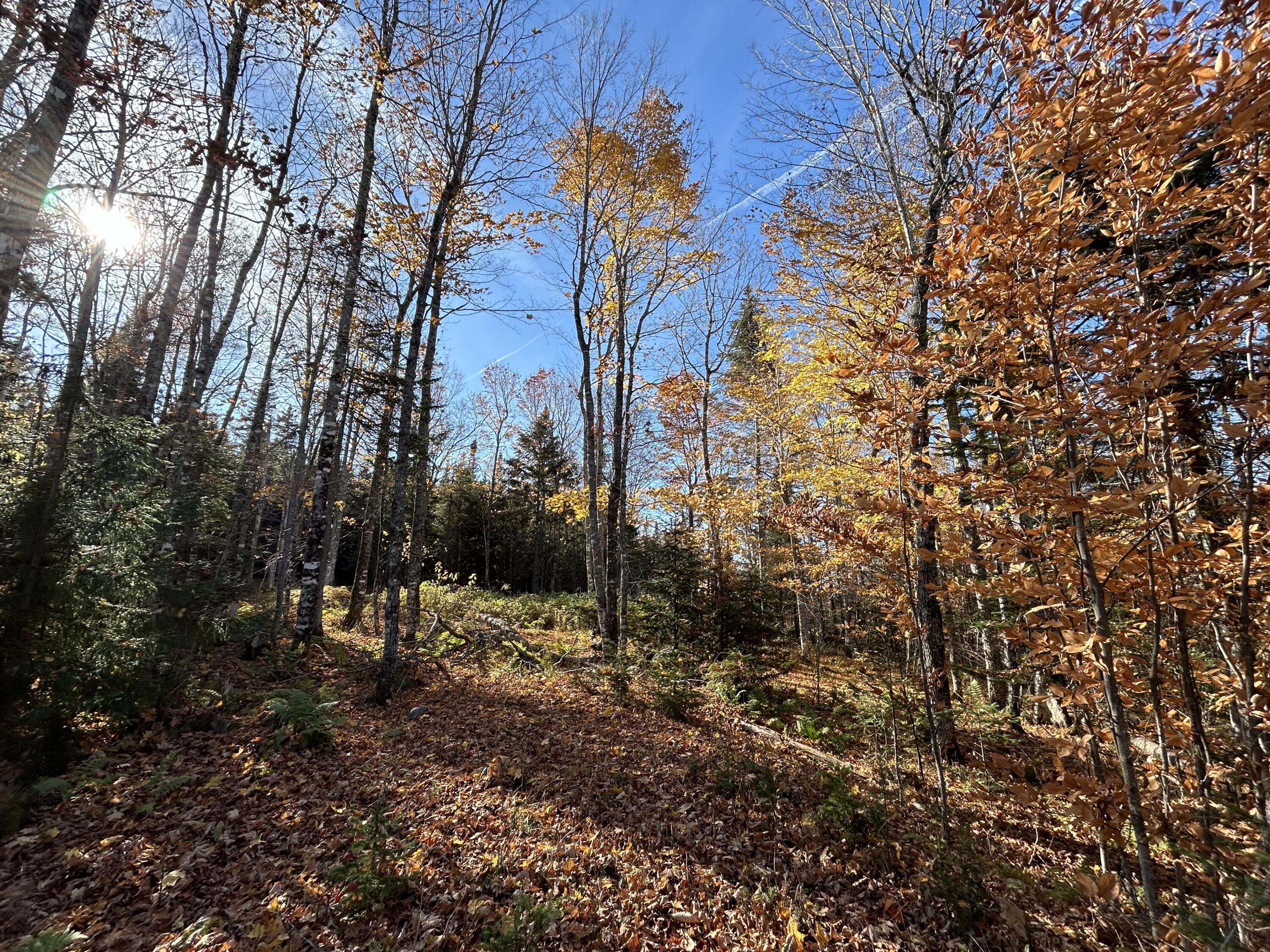 Lot 9 Moose Ridge Road Dallas Plt ME 04970