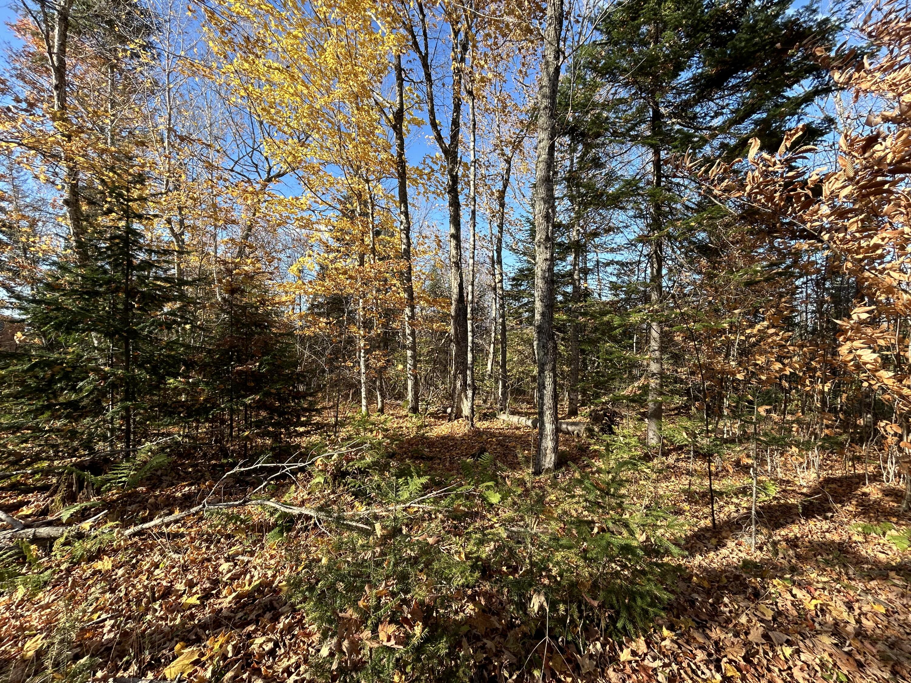 Lot 9 Moose Ridge Road Dallas Plt ME 04970