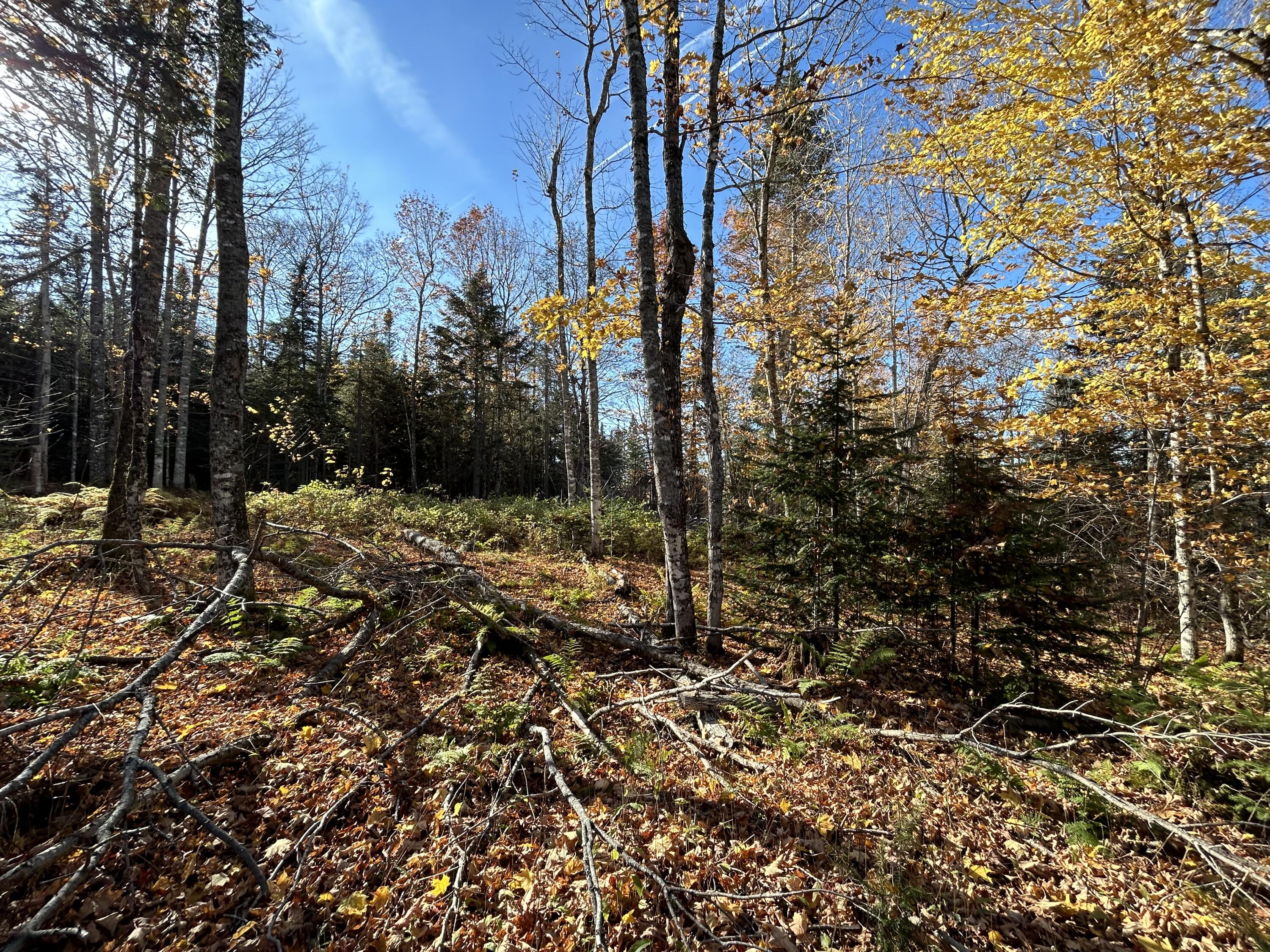 Lot 9 Moose Ridge Road Dallas Plt ME 04970