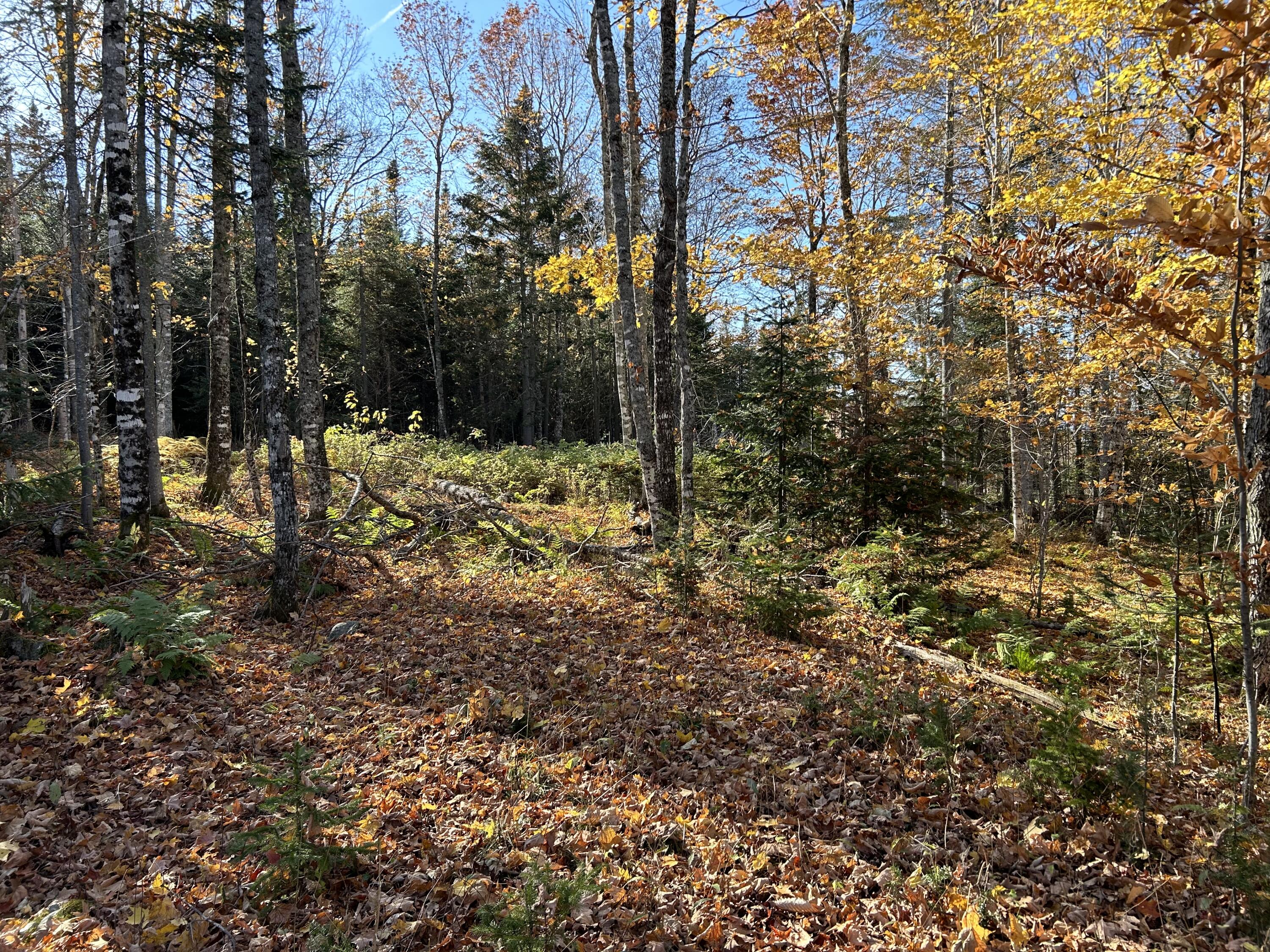 Lot 9 Moose Ridge Road Dallas Plt ME 04970