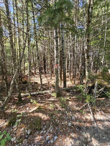 M 3, L 9 Off Eastern Ridge Road Northfield ME 04654