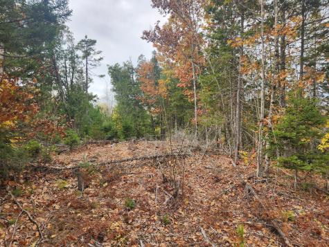 Lot B Blackberry Lane Buckfield ME 04220