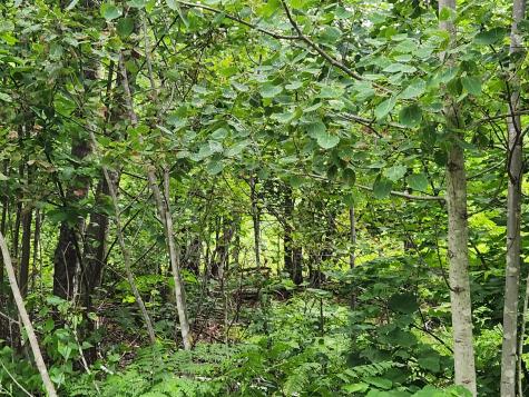 Lot B Blackberry Lane Buckfield ME 04220