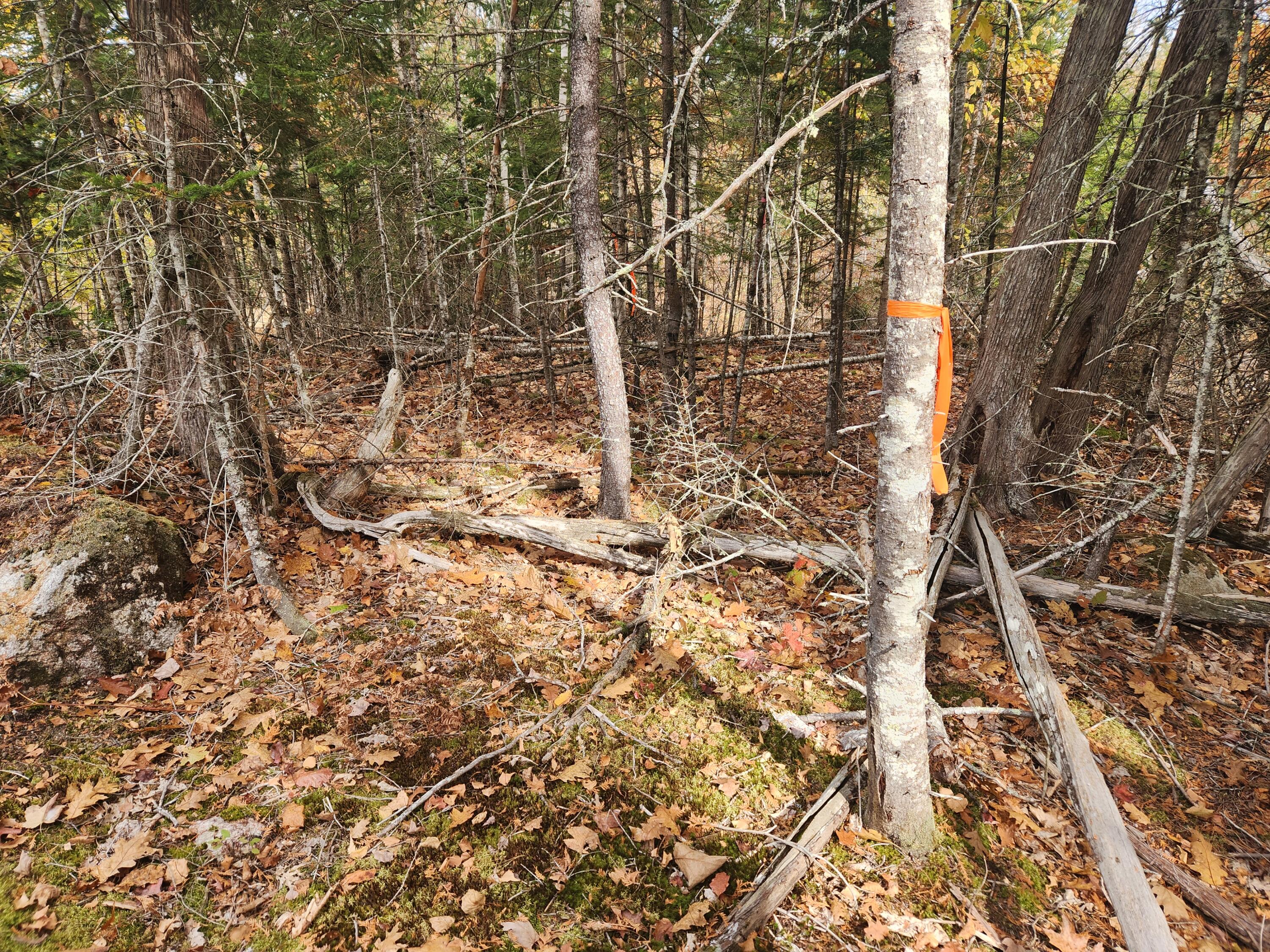 Lot B Blackberry Lane Buckfield ME 04220