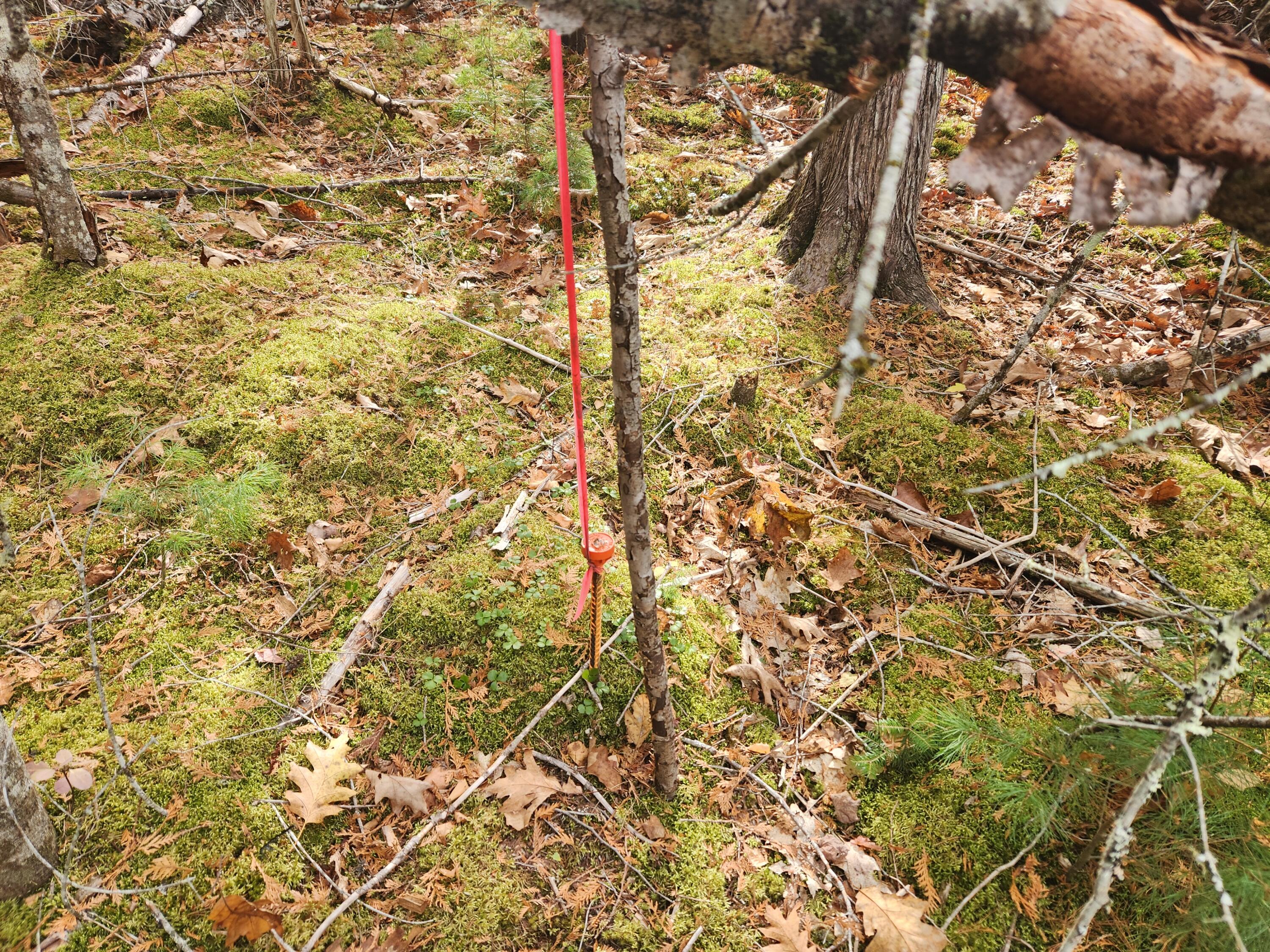Lot B Blackberry Lane Buckfield ME 04220