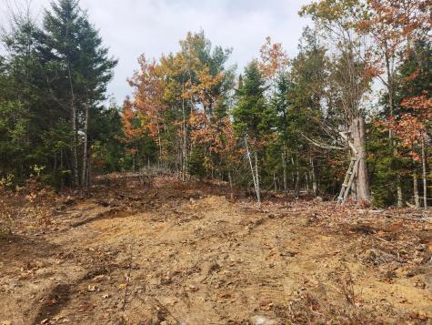 Lot B Blackberry Lane Buckfield ME 04220