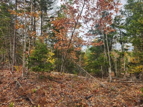 Lot B Blackberry Lane Buckfield ME 04220