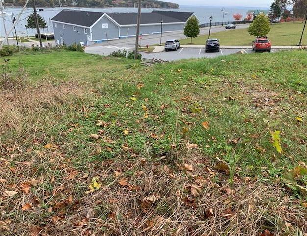 1 Miller Street Belfast ME 04915