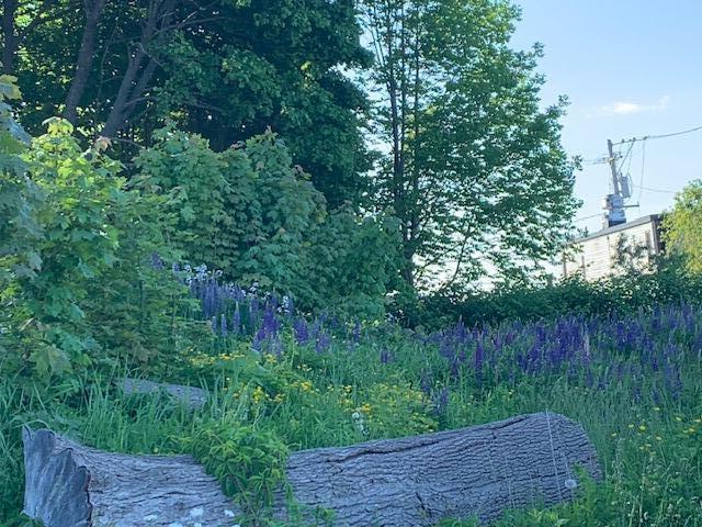 1 Miller Street Belfast ME 04915