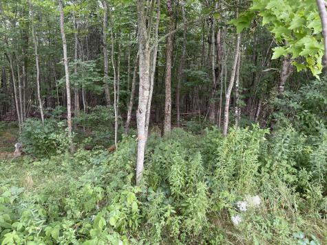 Lot# Bemis Road Harmony ME 04942