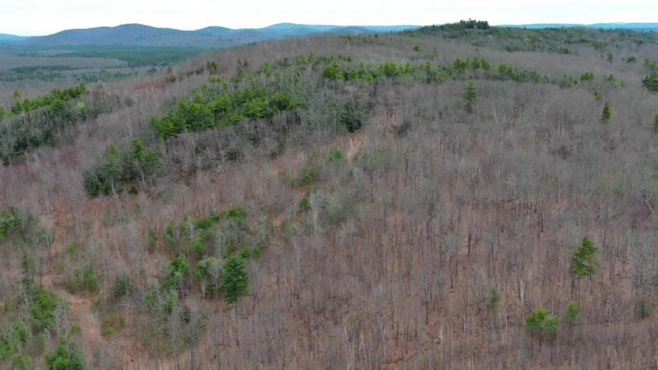 75 Bond Spring Road Newfield ME 04095