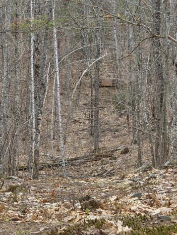 75 Bond Spring Road Newfield ME 04095
