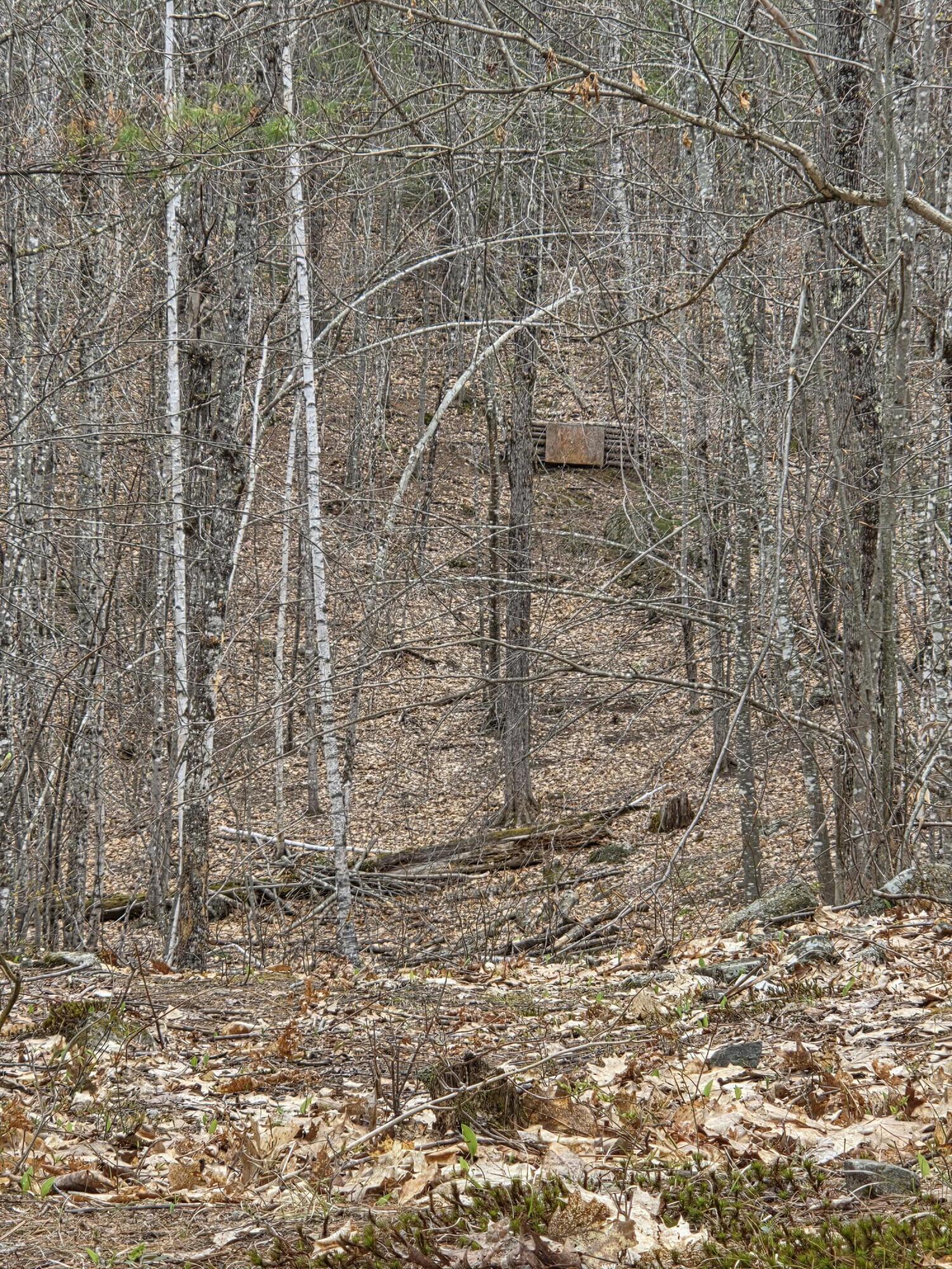 75 Bond Spring Road Newfield ME 04095