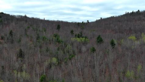 75 Bond Spring Road Newfield ME 04095