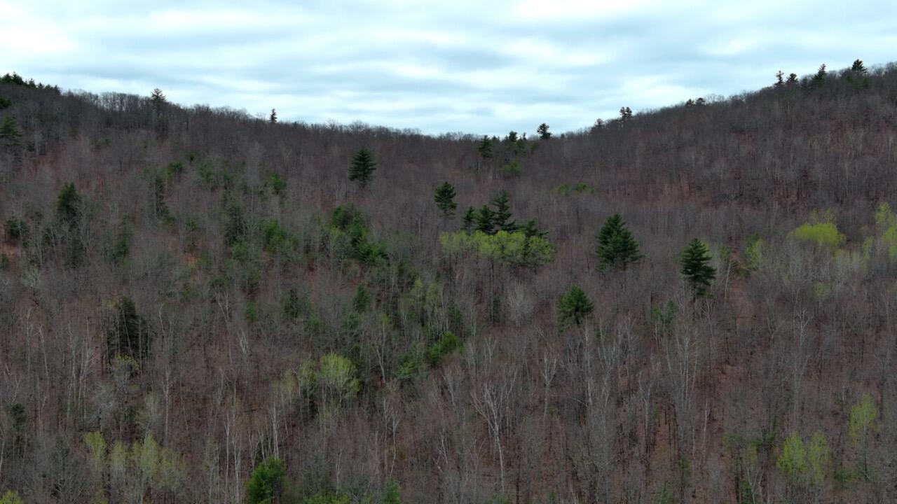 75 Bond Spring Road Newfield ME 04095