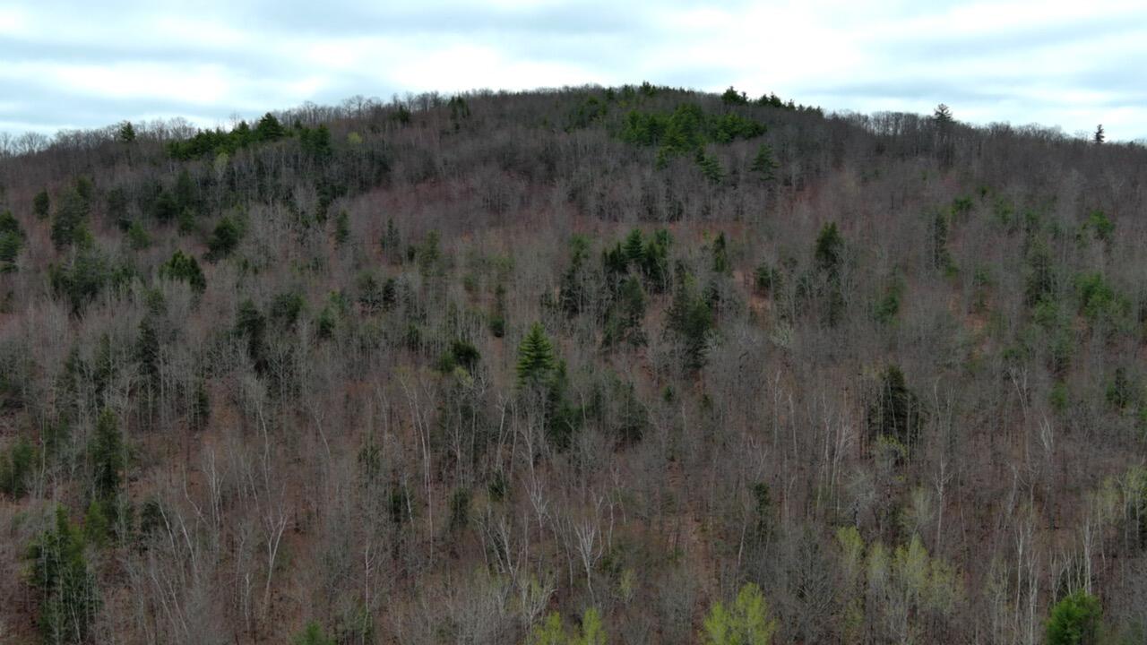 75 Bond Spring Road Newfield ME 04095