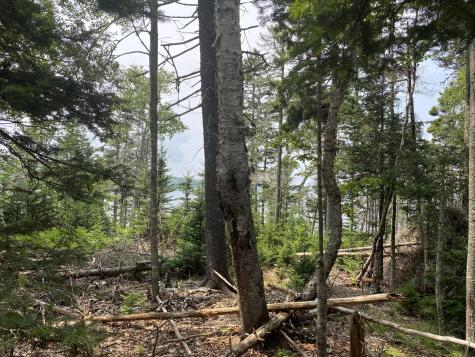 1552 Turtle Head Road Islesboro ME 04848