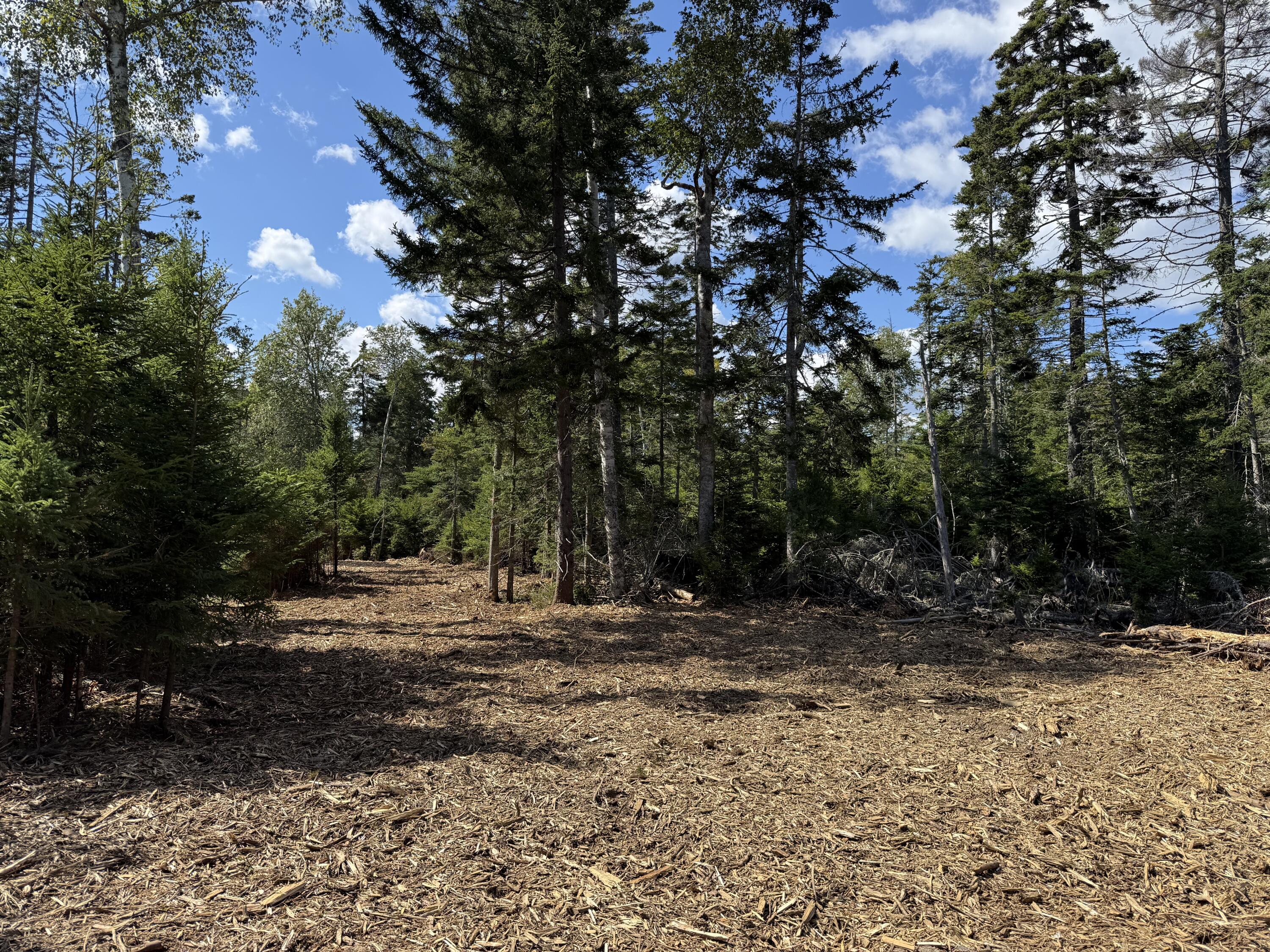 1552 Turtle Head Road Islesboro ME 04848