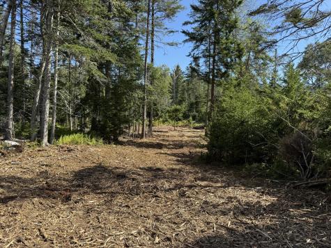 1552 Turtle Head Road Islesboro ME 04848