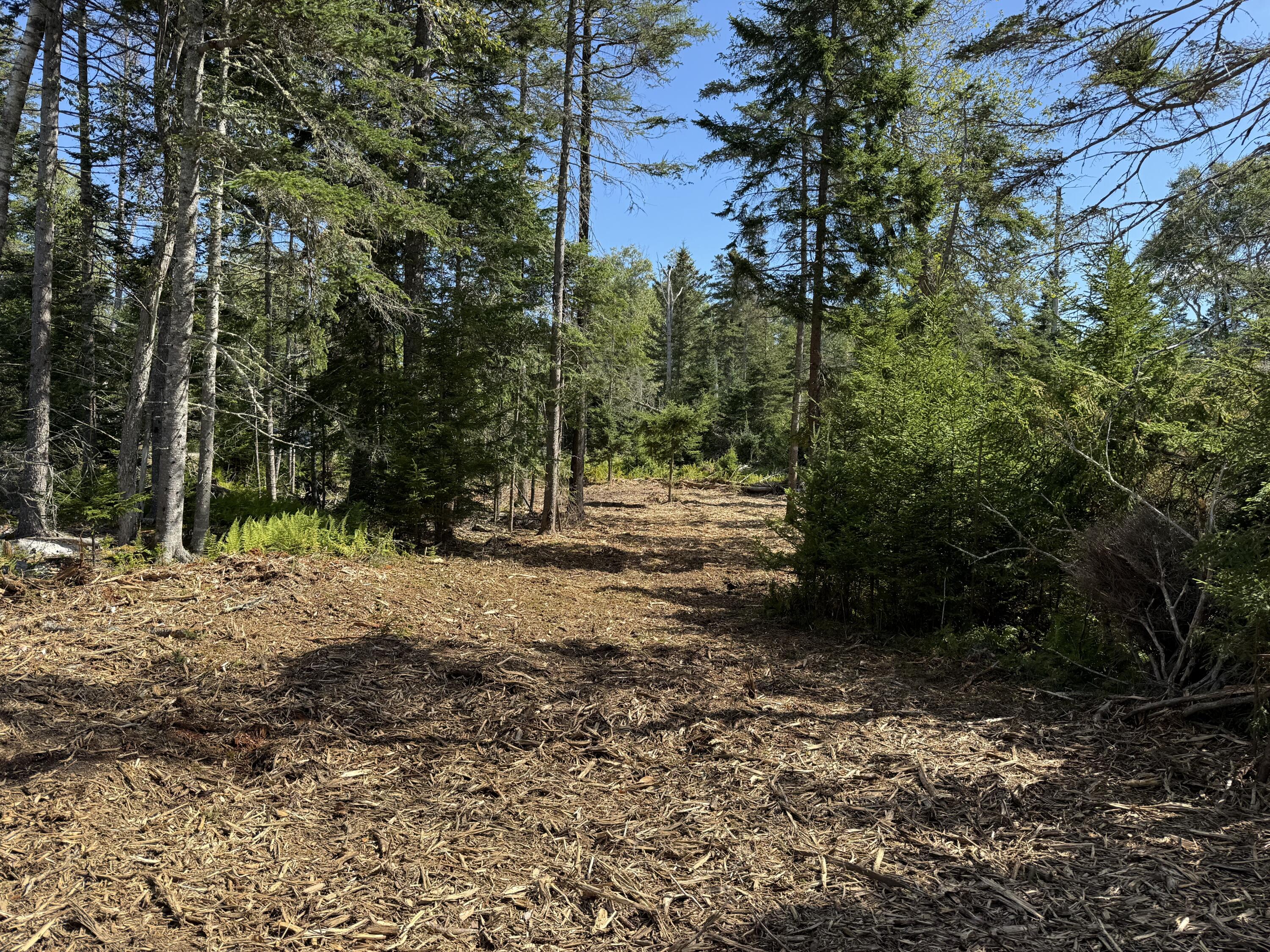 1552 Turtle Head Road Islesboro ME 04848