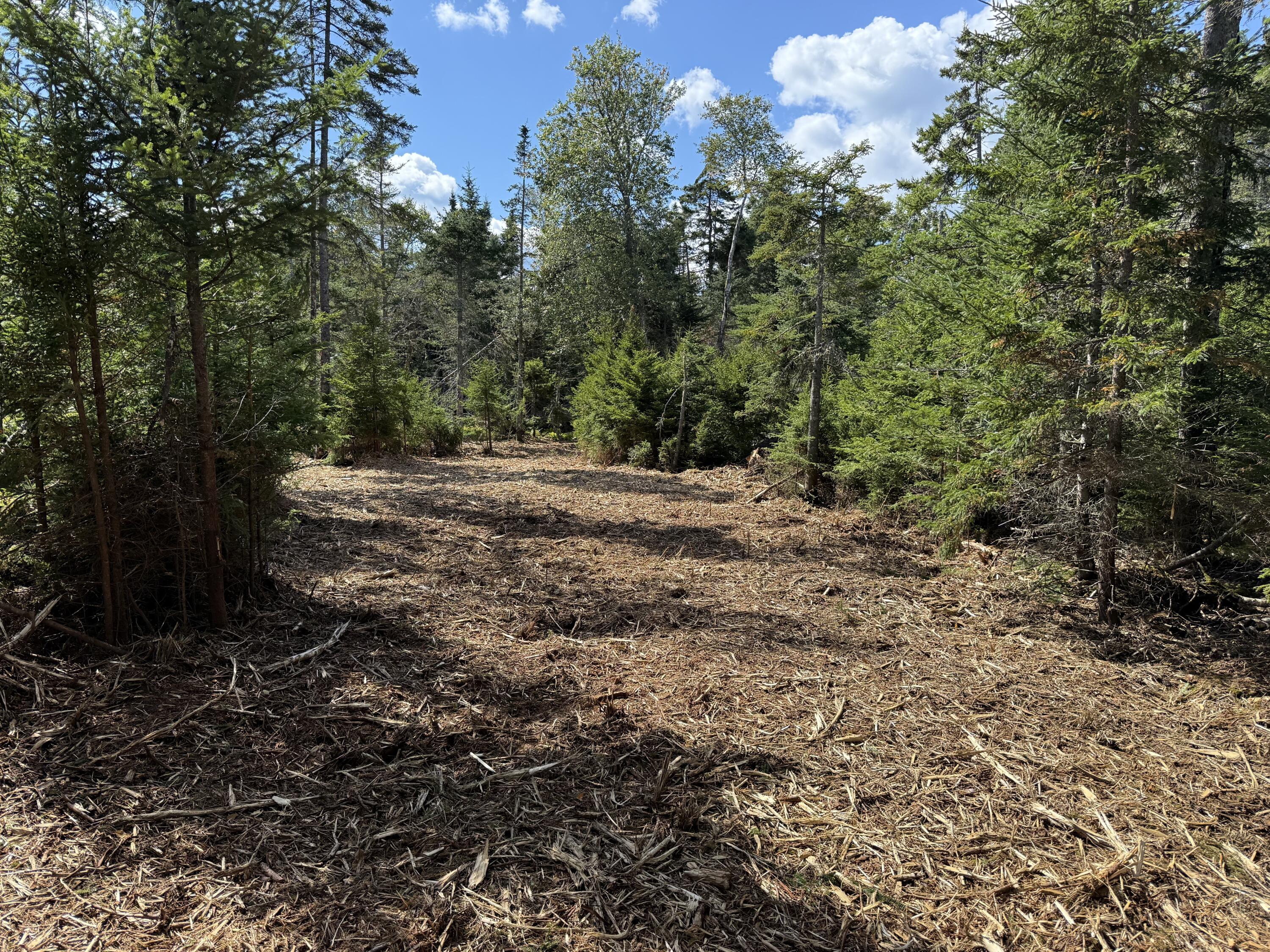 1552 Turtle Head Road Islesboro ME 04848