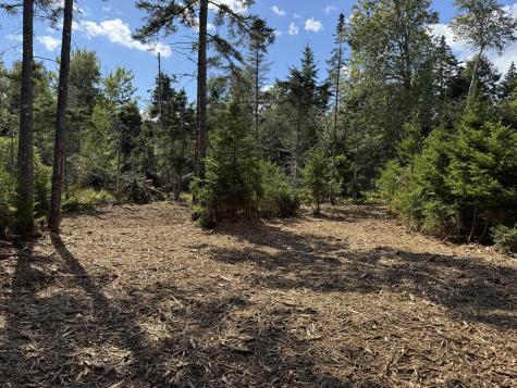 1552 Turtle Head Road Islesboro ME 04848