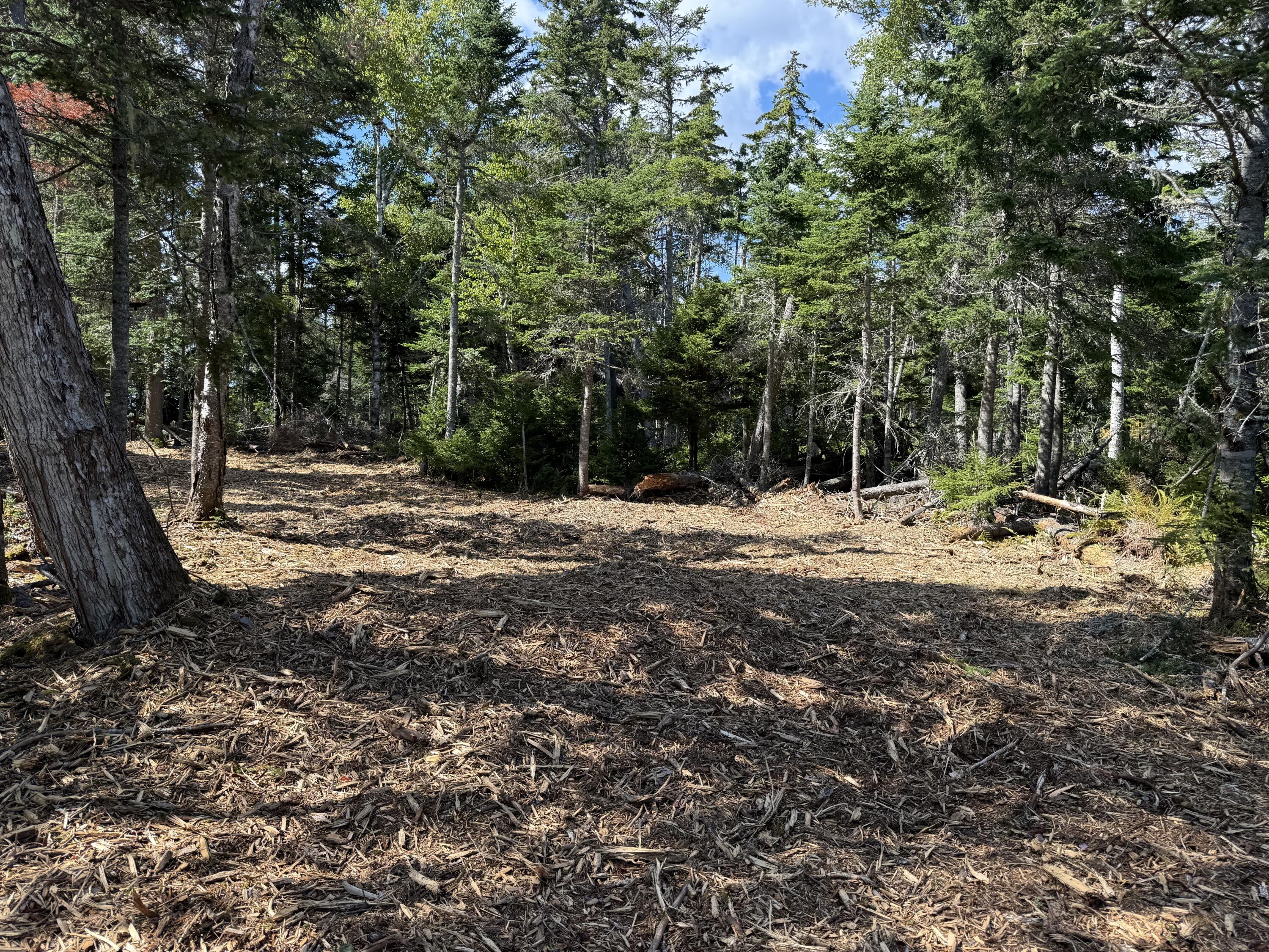 1552 Turtle Head Road Islesboro ME 04848