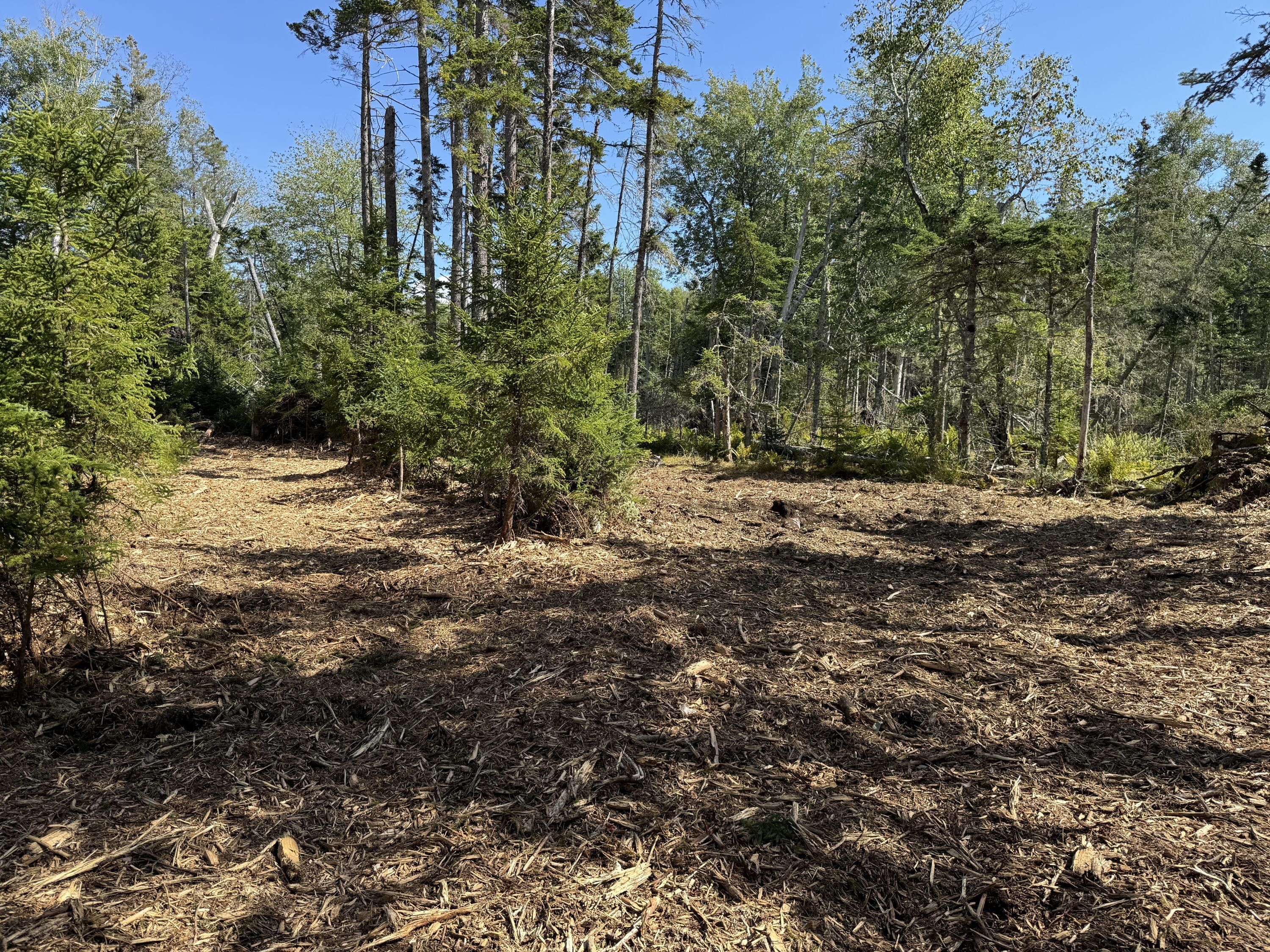 1552 Turtle Head Road Islesboro ME 04848