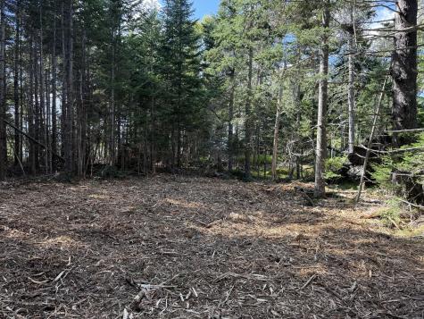 1552 Turtle Head Road Islesboro ME 04848