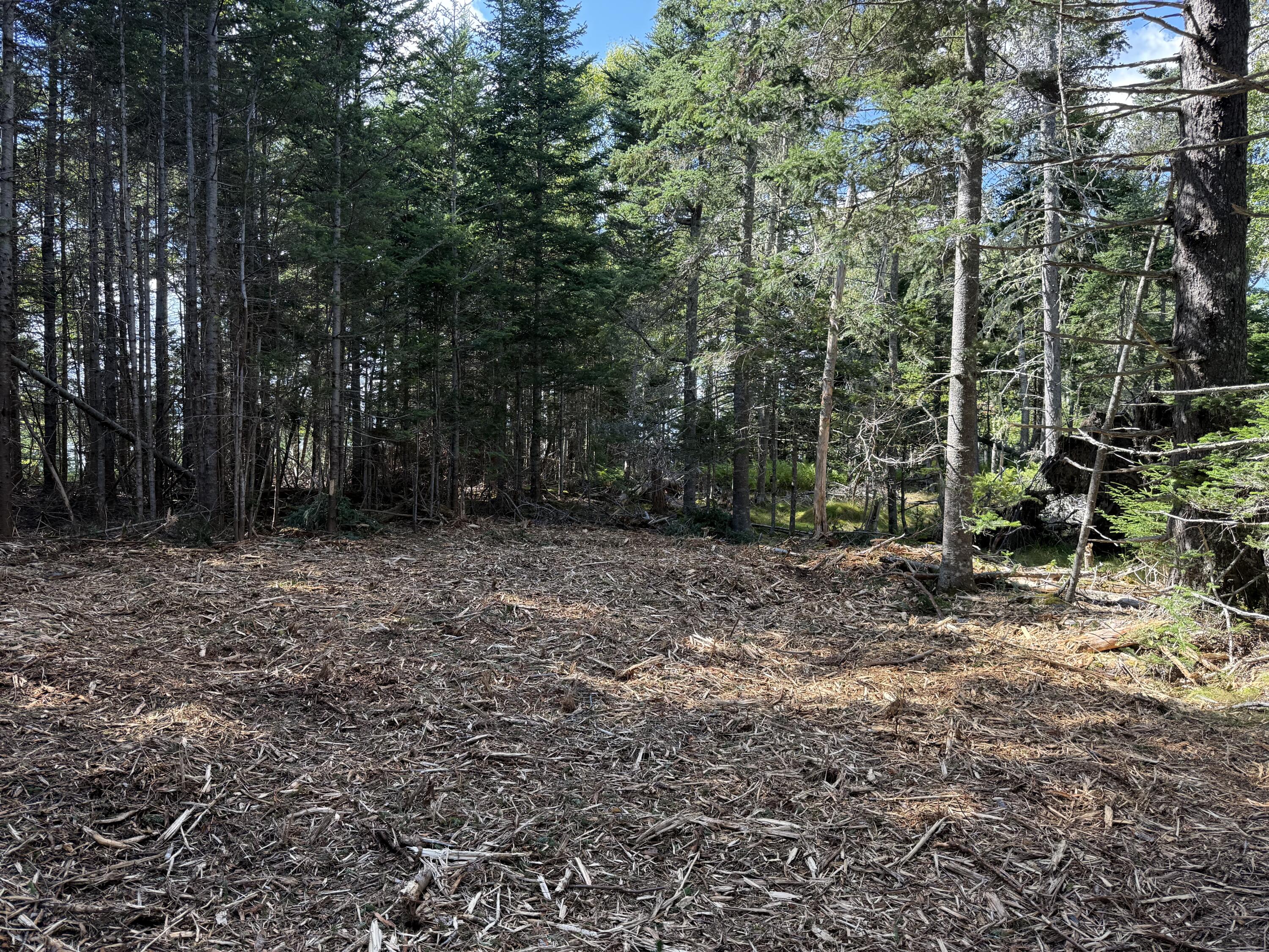 1552 Turtle Head Road Islesboro ME 04848