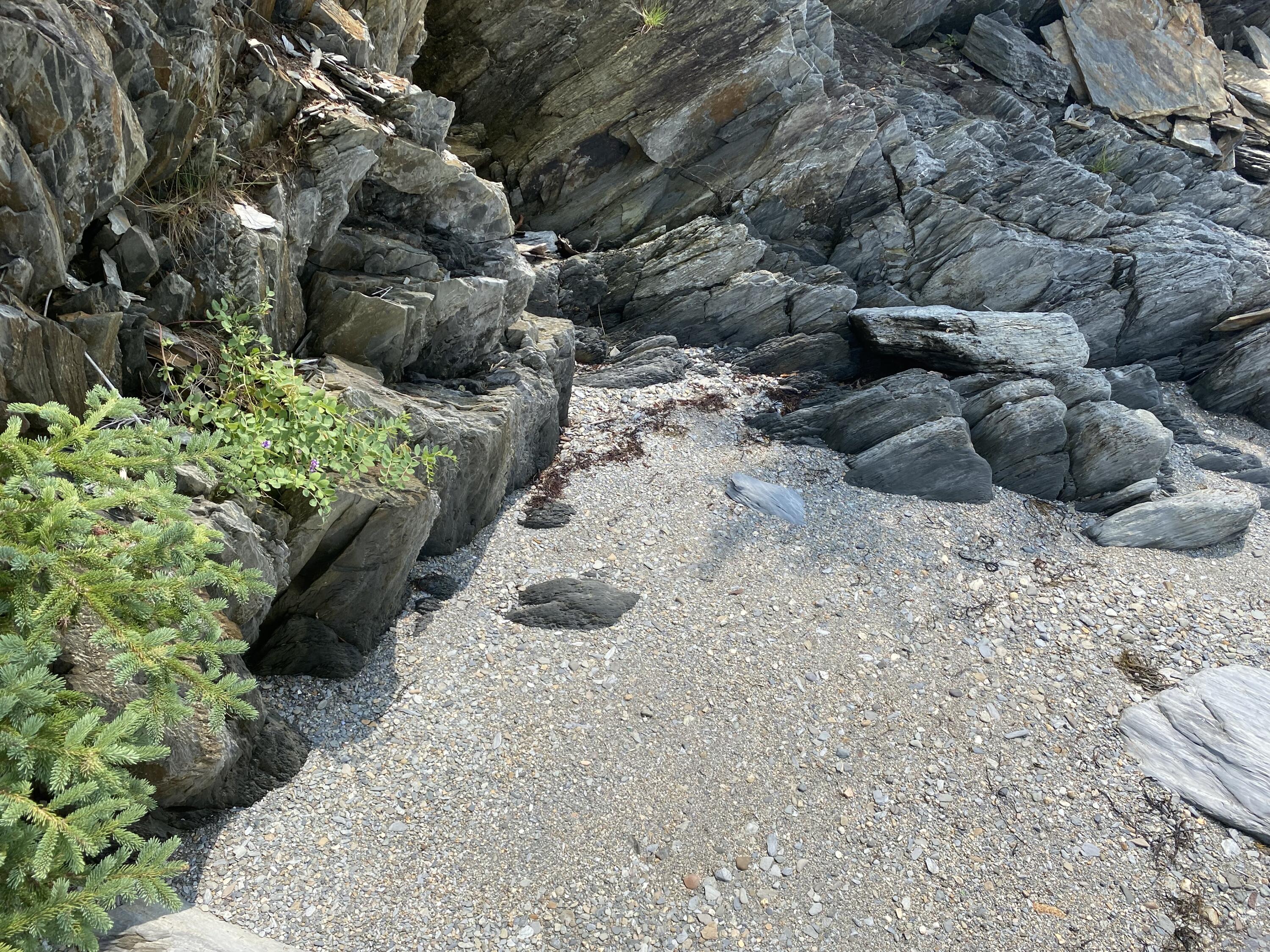 1552 Turtle Head Road Islesboro ME 04848