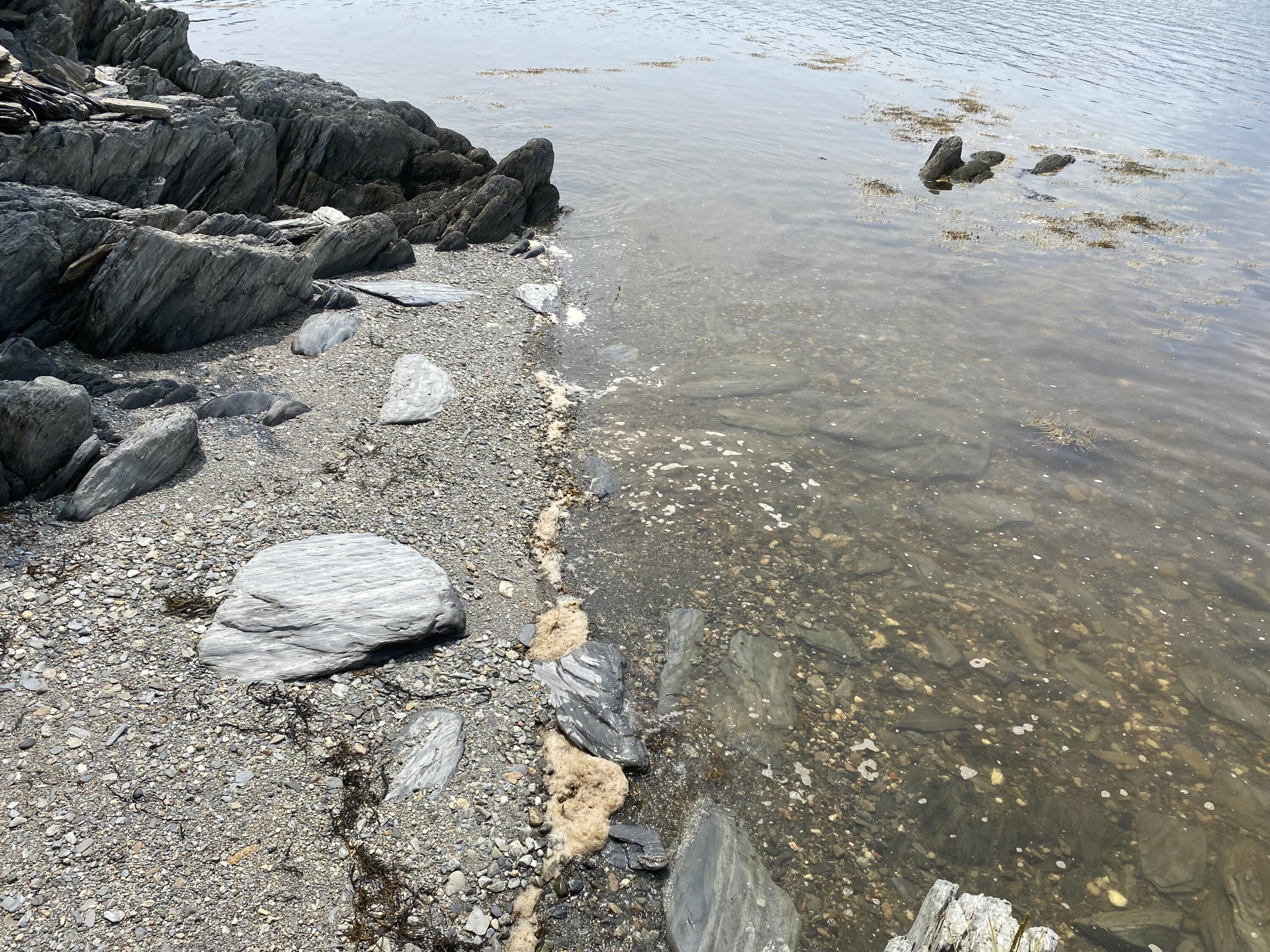 1552 Turtle Head Road Islesboro ME 04848