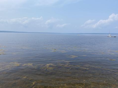 1552 Turtle Head Road Islesboro ME 04848