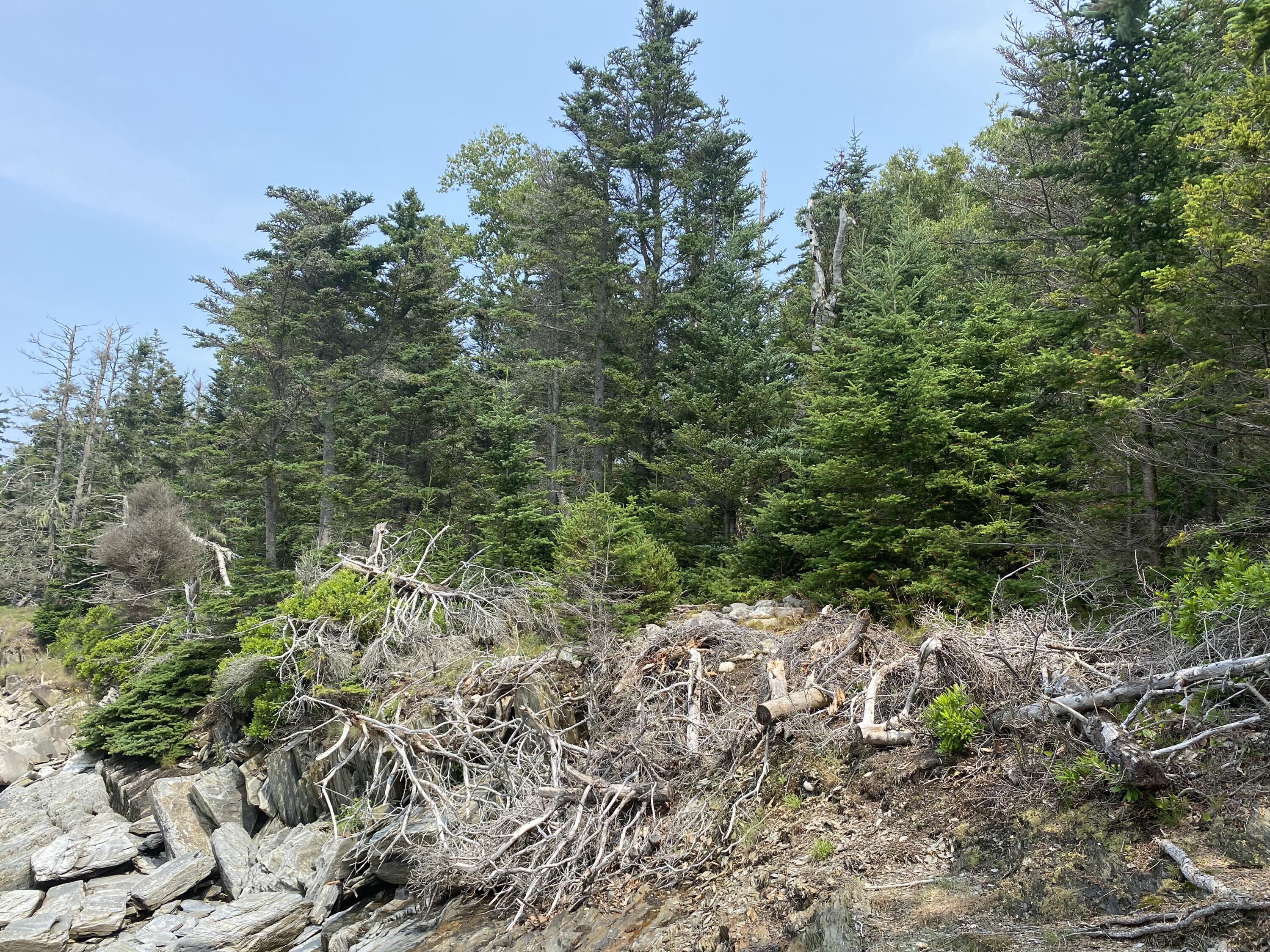 1552 Turtle Head Road Islesboro ME 04848