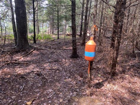 1552 Turtle Head Road Islesboro ME 04848