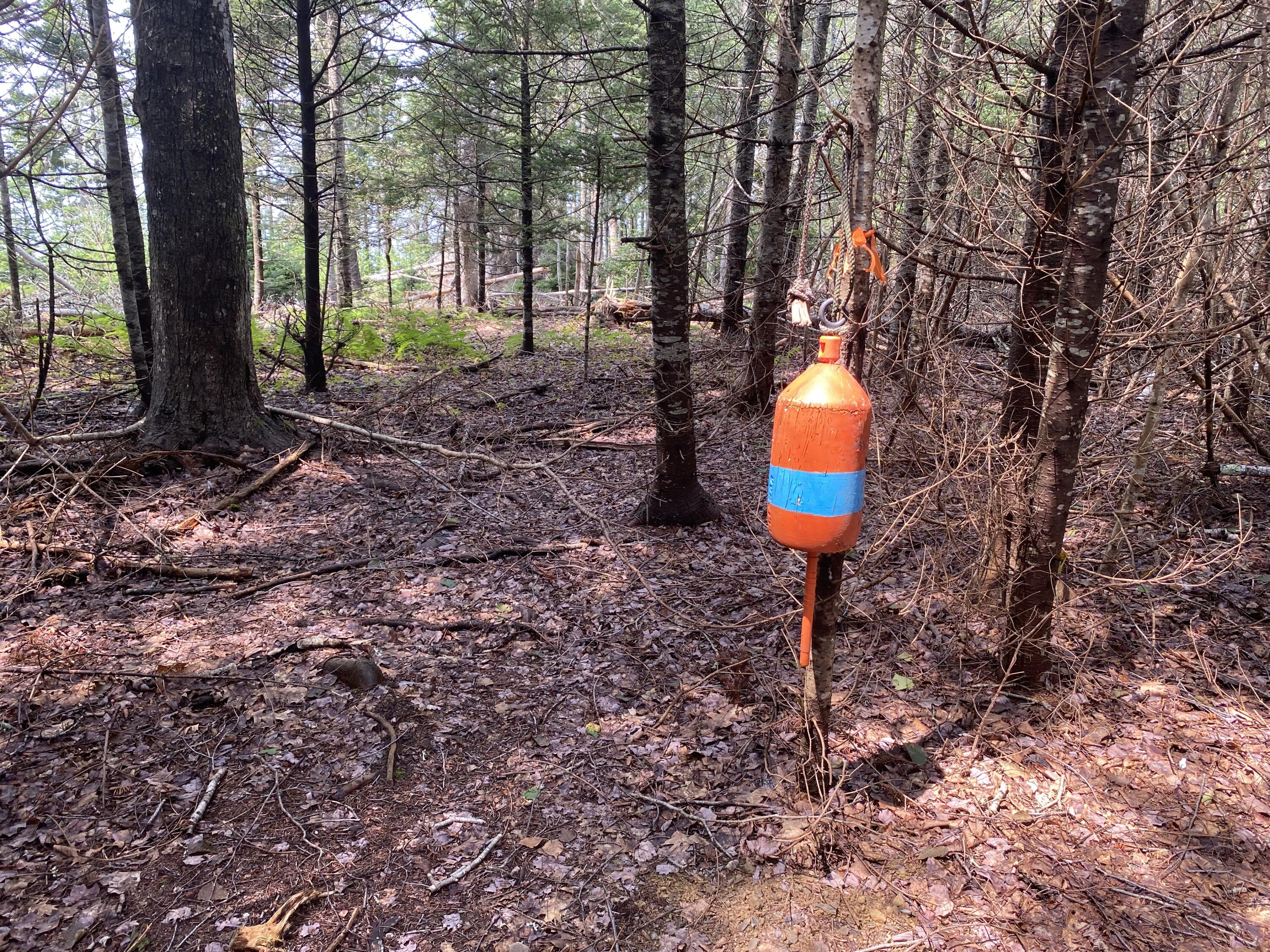 1552 Turtle Head Road Islesboro ME 04848