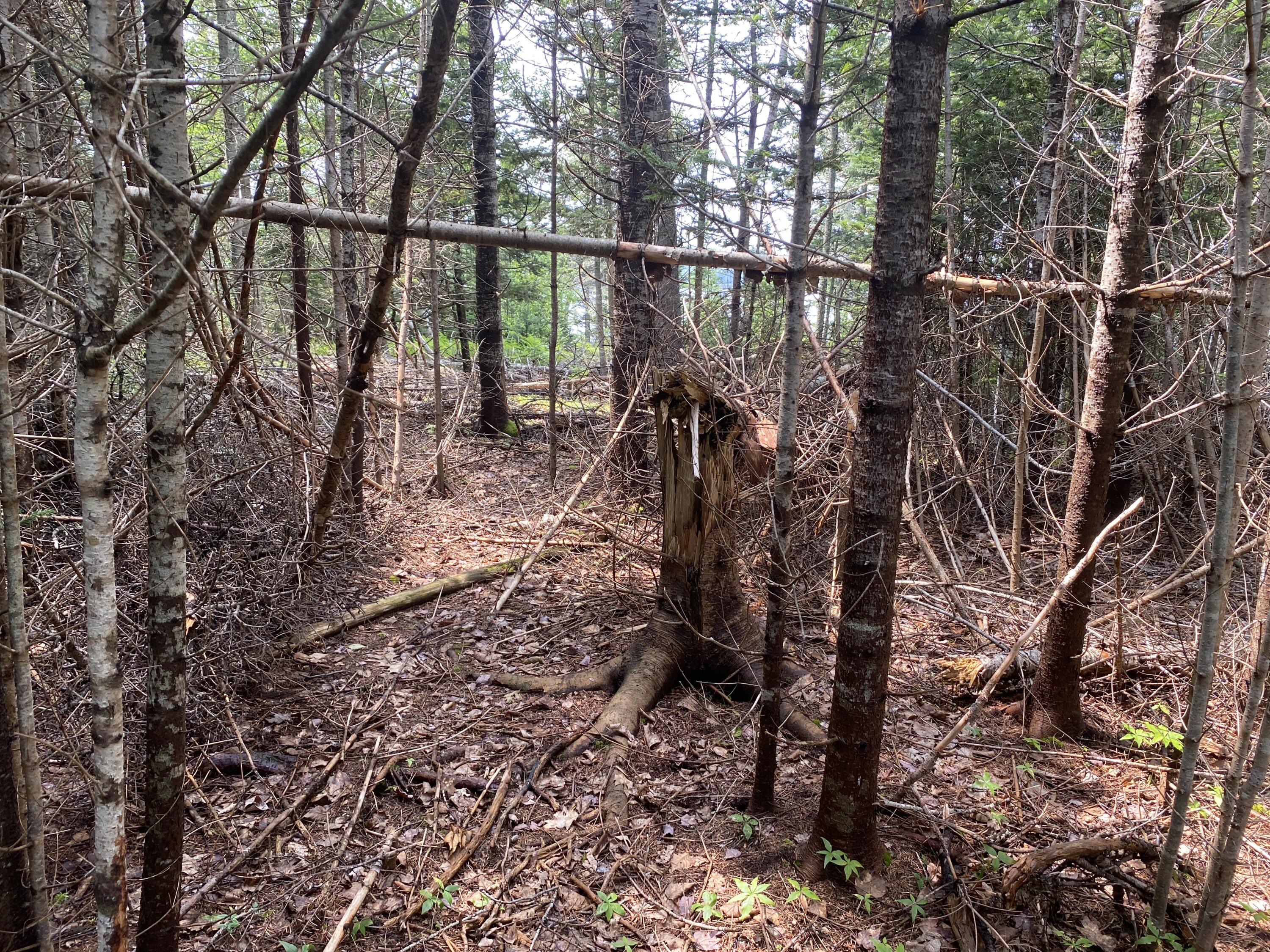 1552 Turtle Head Road Islesboro ME 04848