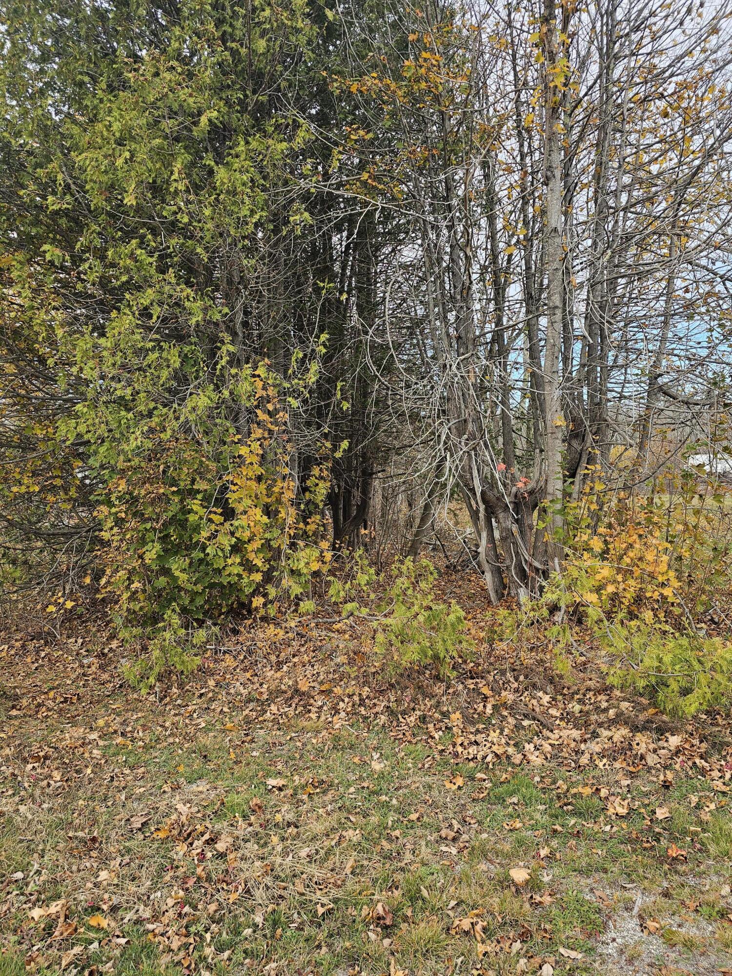 Map 15, Lot 109, Main Street Franklin ME 04634