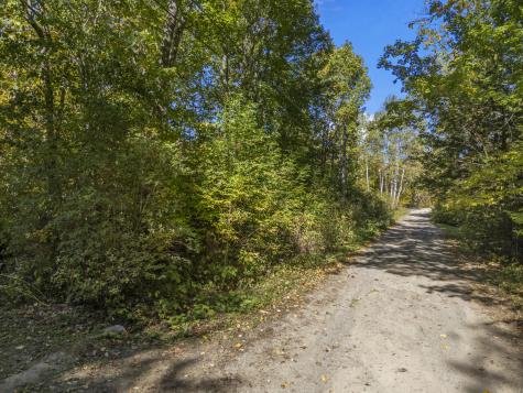 Lot #58 South Vigue Shore Road Albion ME 04910