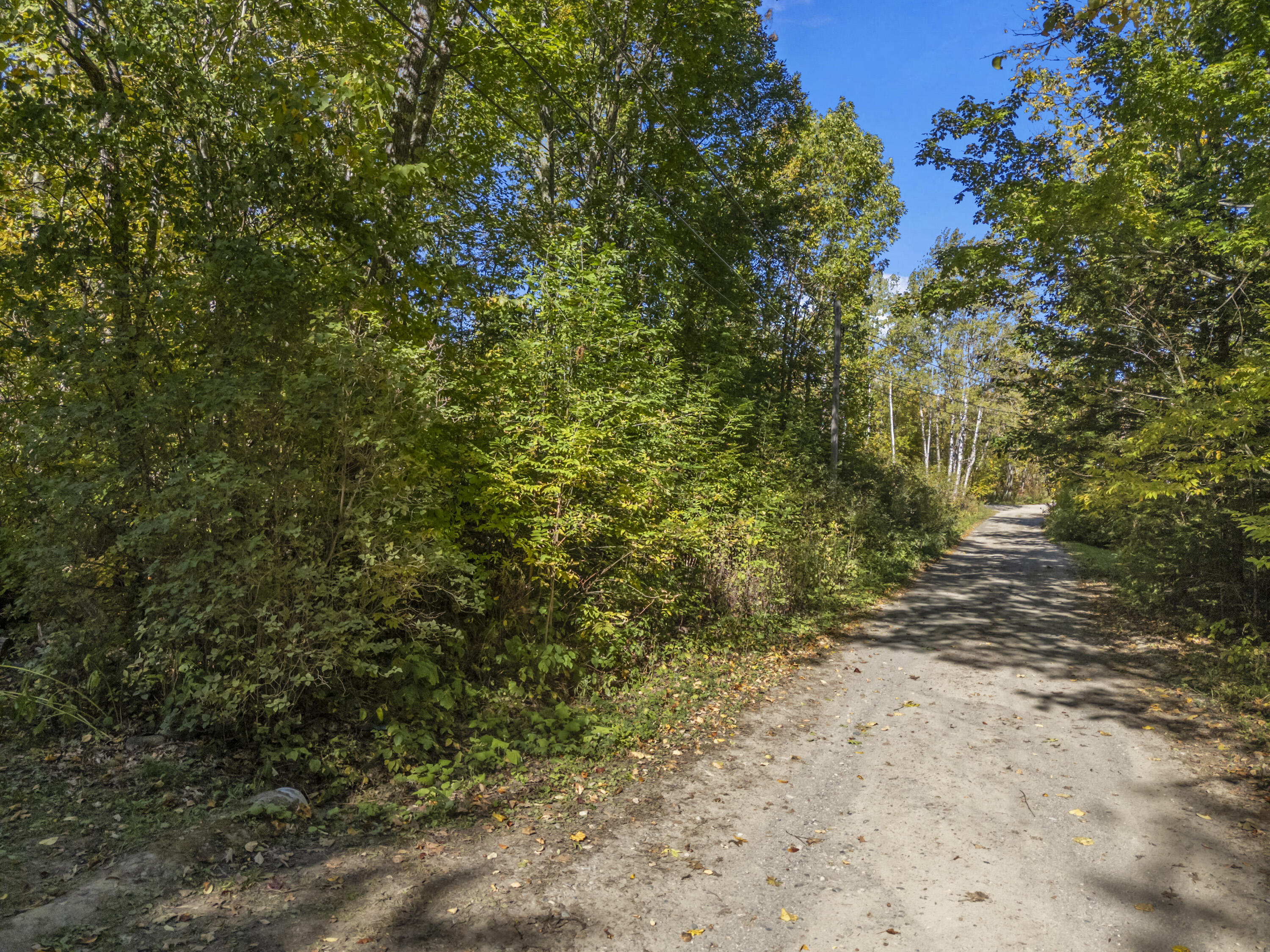 Lot #58 South Vigue Shore Road Albion ME 04910