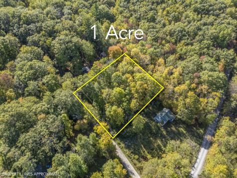 Lot #58 South Vigue Shore Road Albion ME 04910