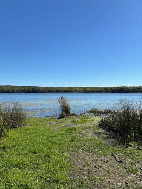 Lot #58 South Vigue Shore Road Albion ME 04910